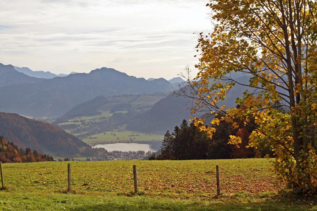 Mountain Inn Chalets & Apartments Walchsee Eksteriør bilde